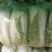 山东省济南市平阴县，北京新三号白菜，大量供应，质量好，
