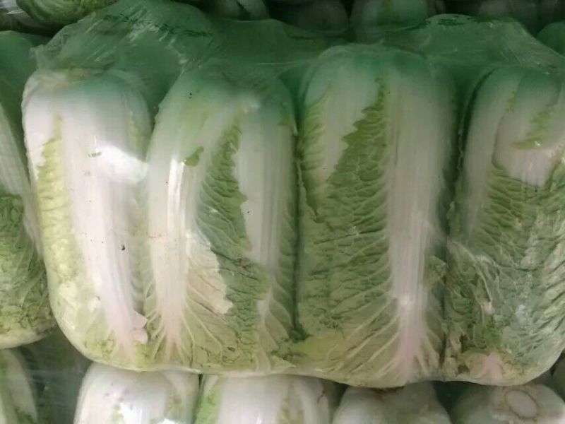 山东省济南市平阴县，北京新三号白菜，大量供应，质量好，