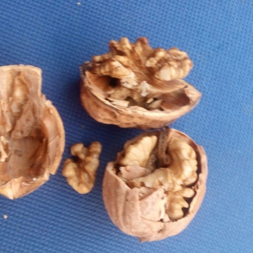 薄皮核桃30mm以上去皮干