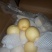皇冠梨350~400g纸袋