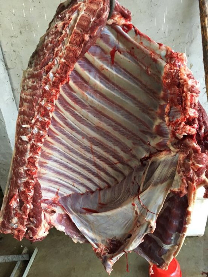 驴肉