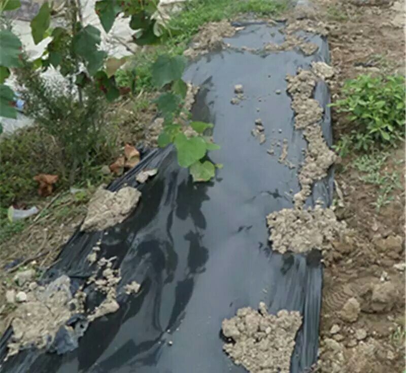 地膜聚乙烯塑料薄膜黑色地膜白色地膜除草膜一次