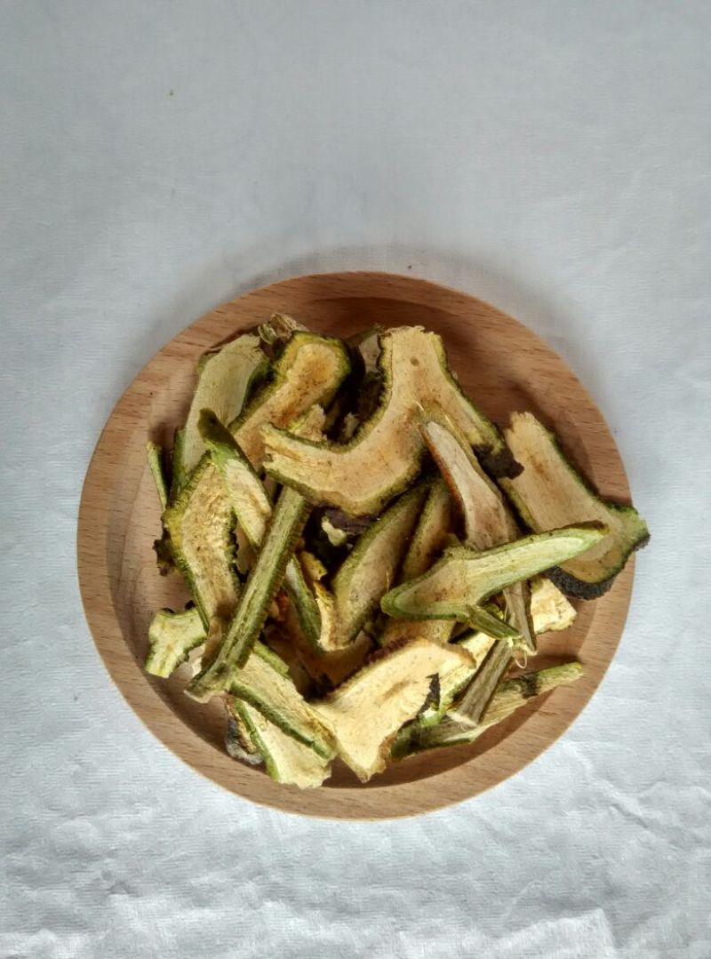 槲寄生