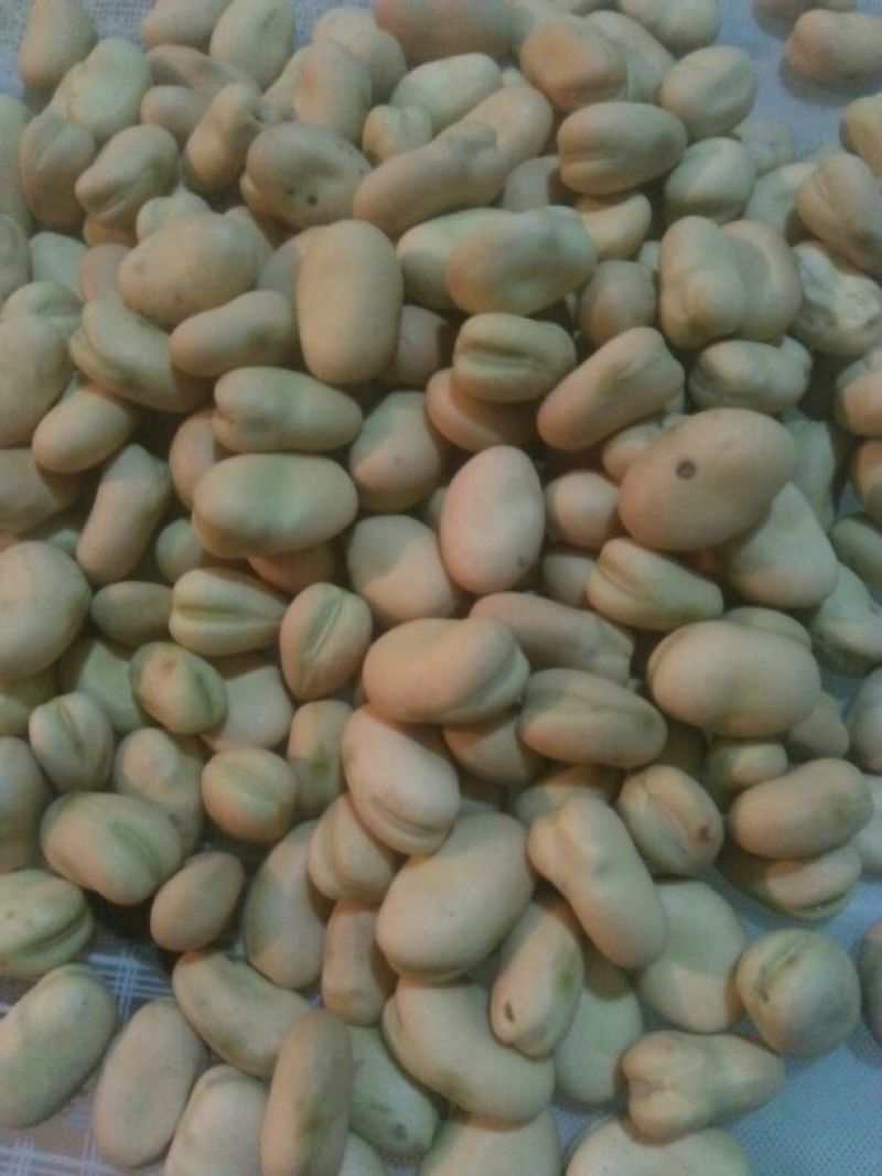 青海蚕豆优等品