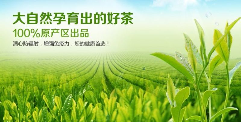 茶叶特级