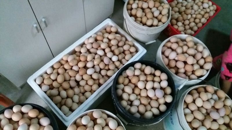 土鸡蛋食用40~50g