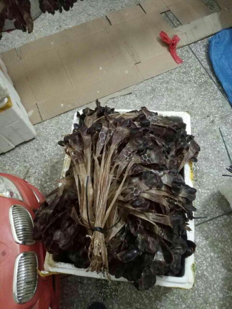 腊鸭