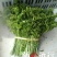 山野菜
