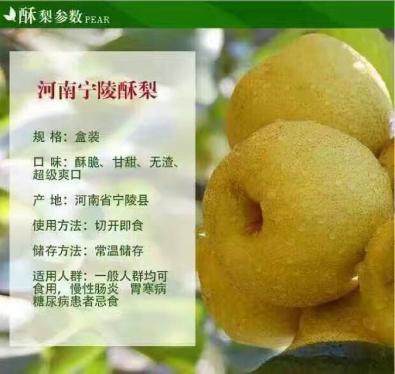 贡梨