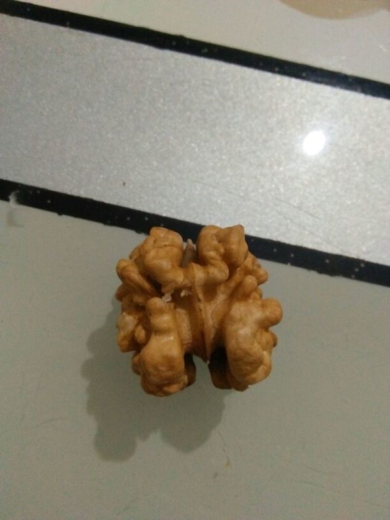 薄皮核桃30mm以上去皮干