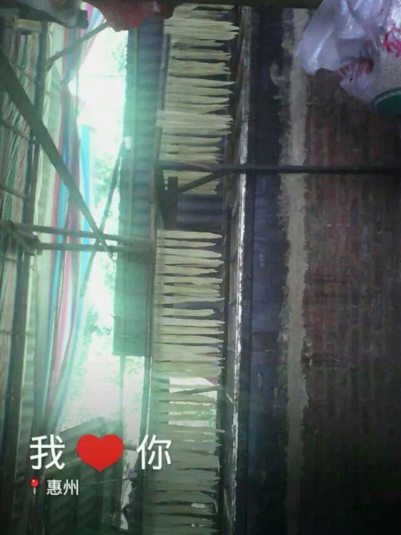 腐竹散装