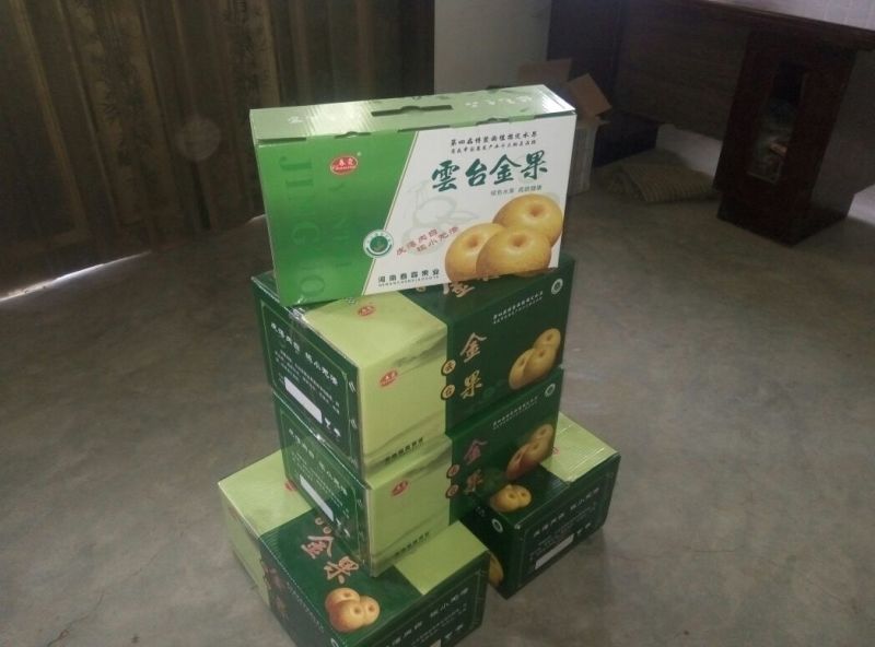 晚秋黄梨500~550g纸箱