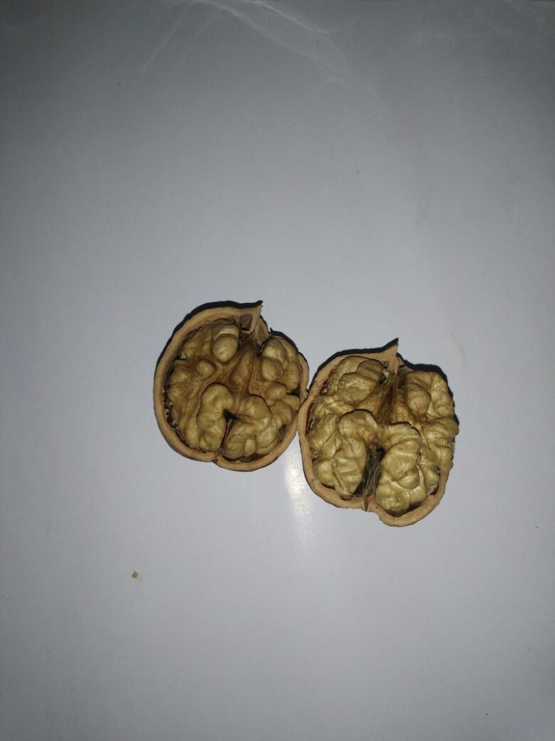 核桃30mm以上去皮干
