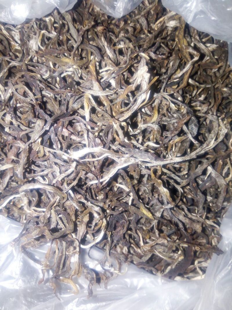 百年大树茶二级