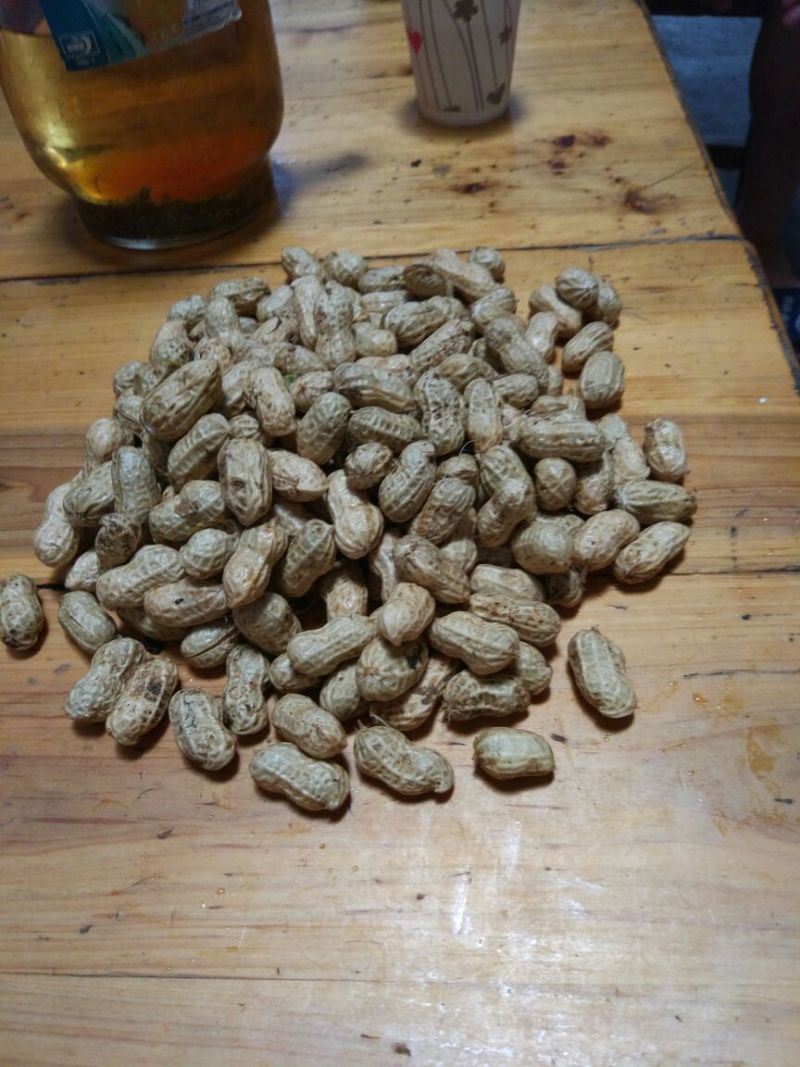 花生鲜货带壳