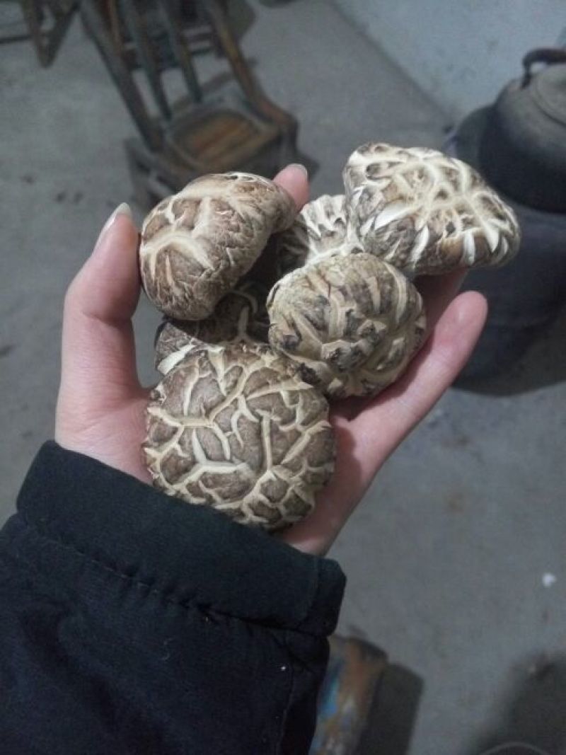绿色健康精品农家自产干香菇蘑菇