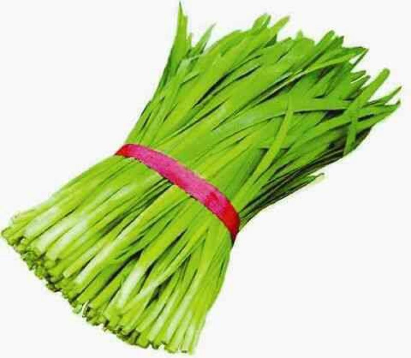 韭菜二茬