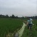 建鲤