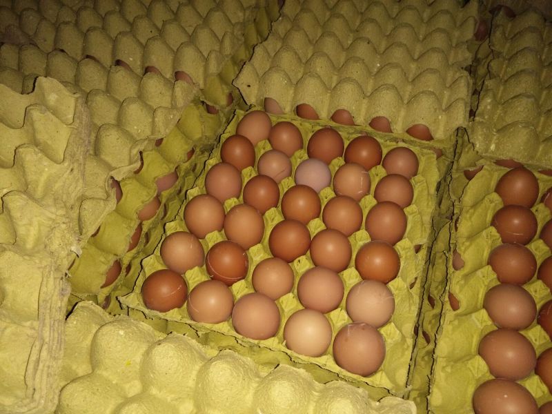红蛋食用50~60g