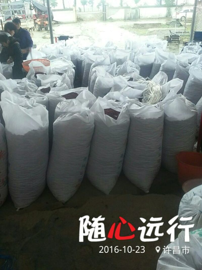 子弹头干辣椒精品9成干以上