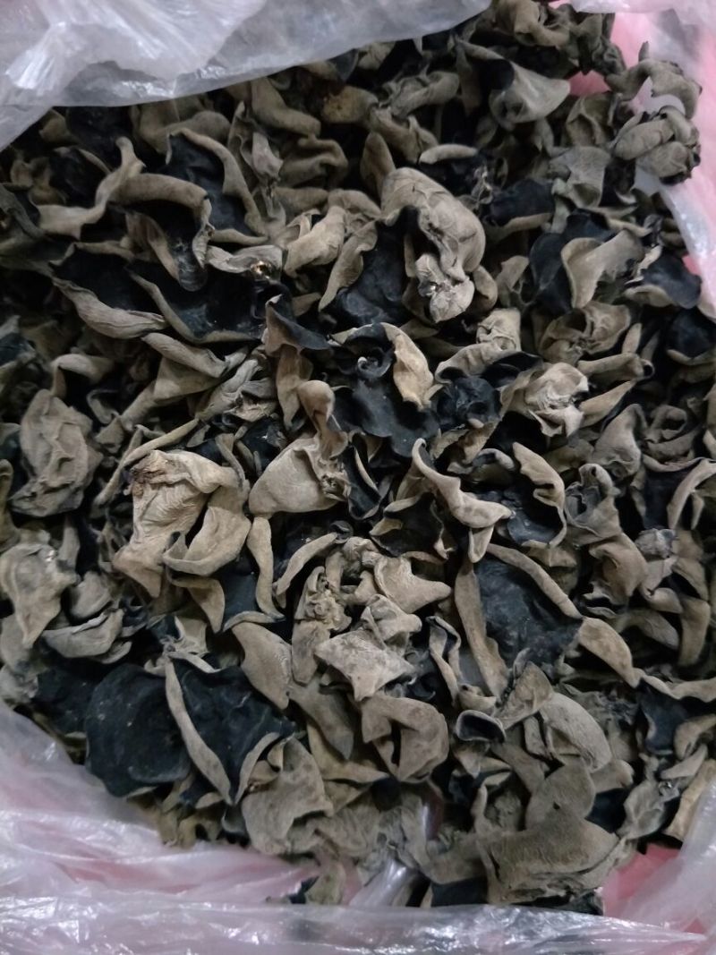 黑山秋耳二级