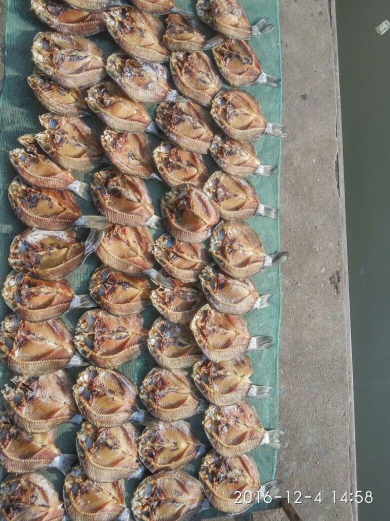 鲫鱼食用