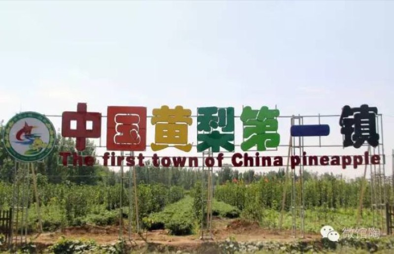 晚秋黄梨