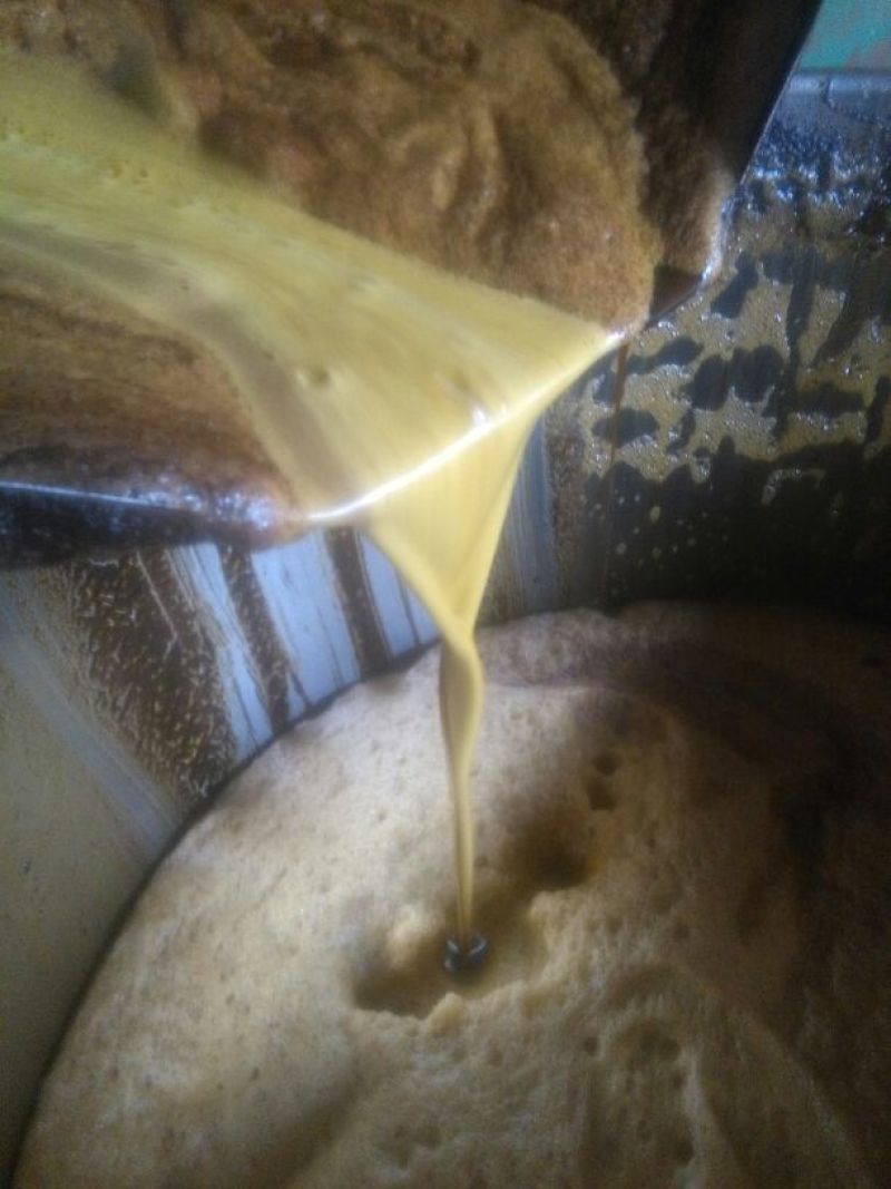 菜油四级