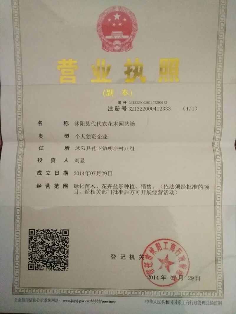 西瓜种子97%以上
