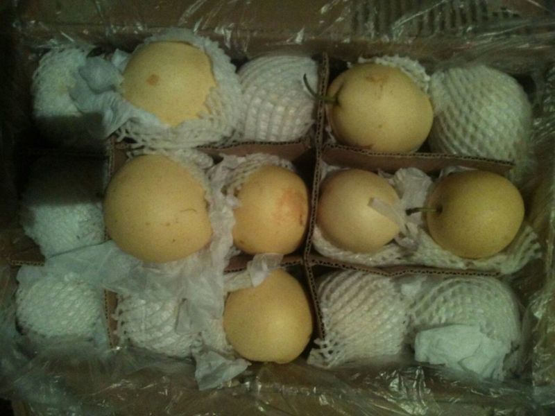 皇冠梨550~600g纸箱