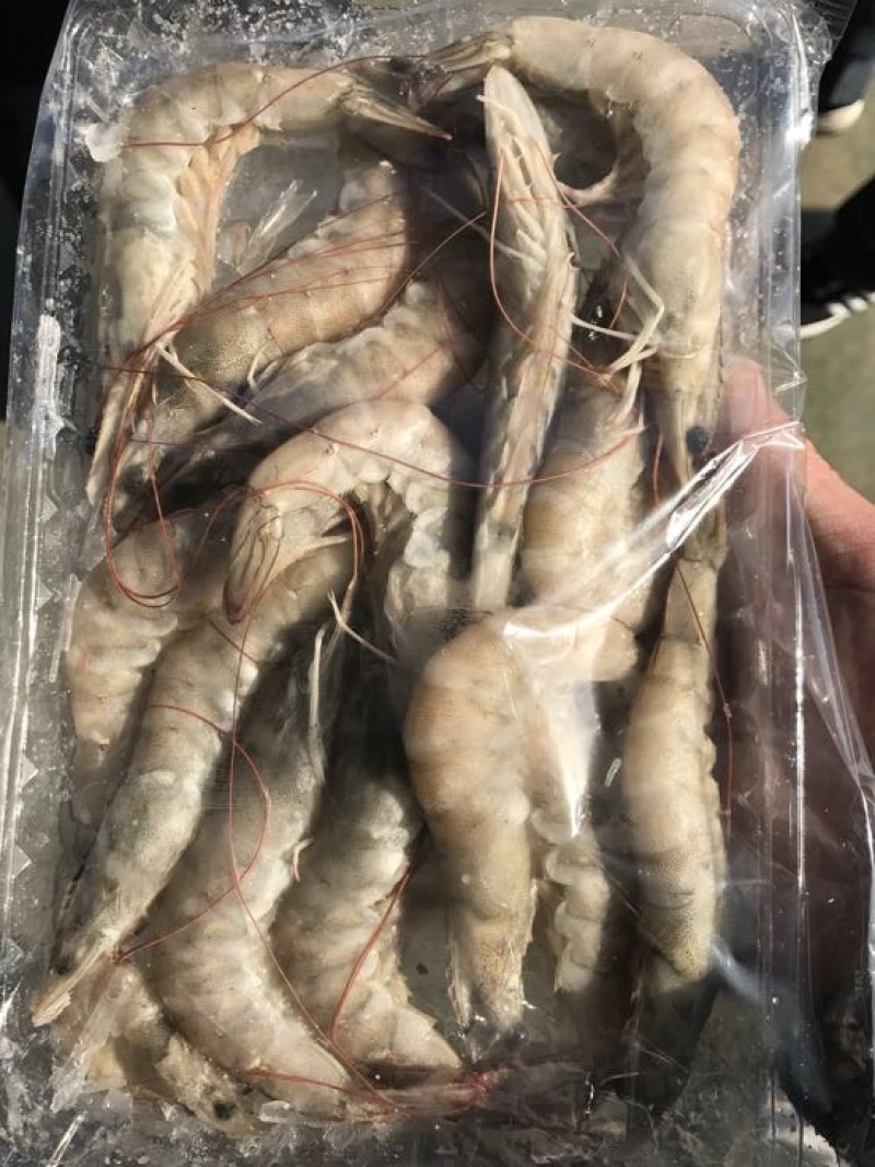 青虾