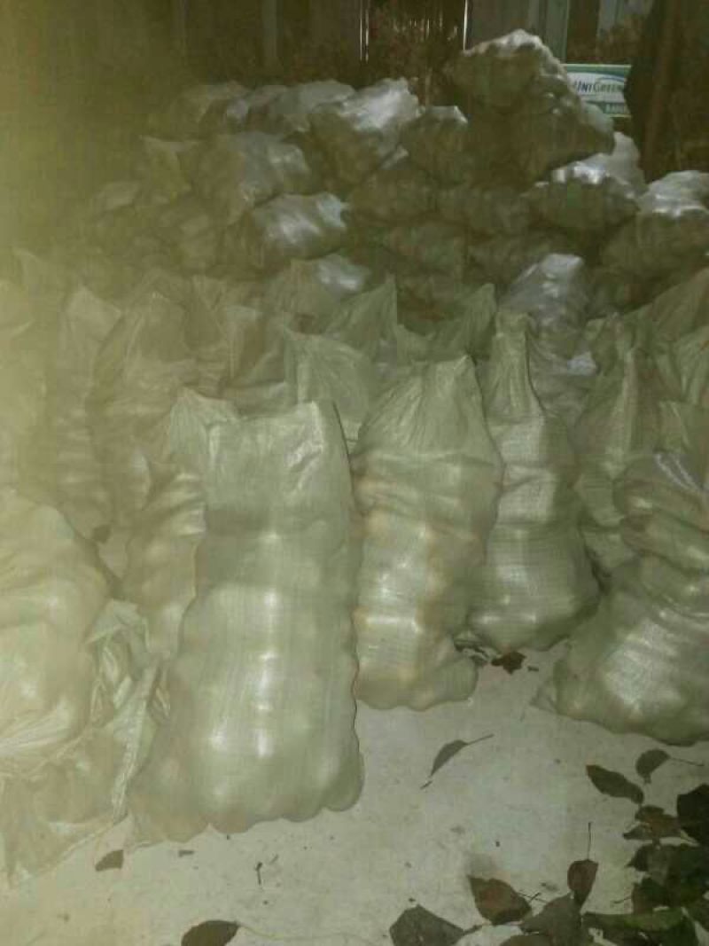 苹果梨200~250g膜袋