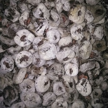 柿饼1~2两