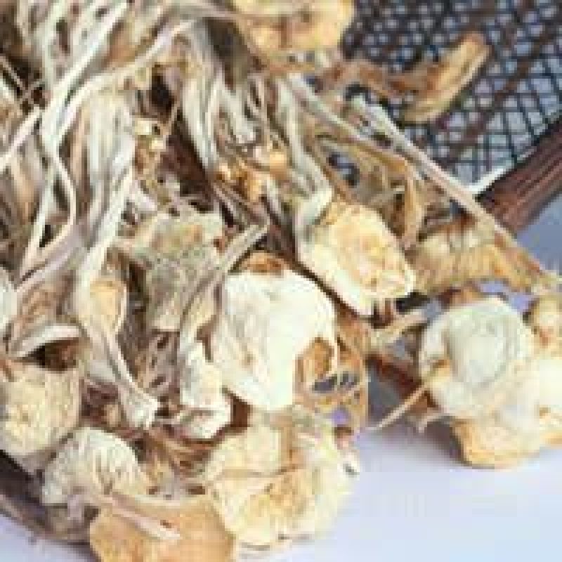 干金针菇10~15厘米干度有保证，畅销产品！！