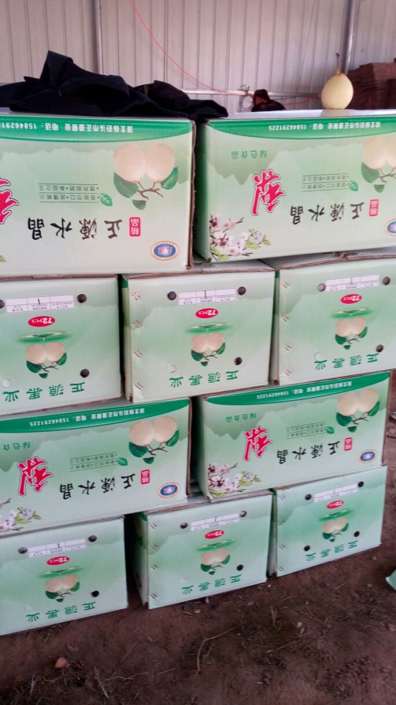 鸭梨200~250g纸箱