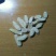 黄芪切片0.8cm