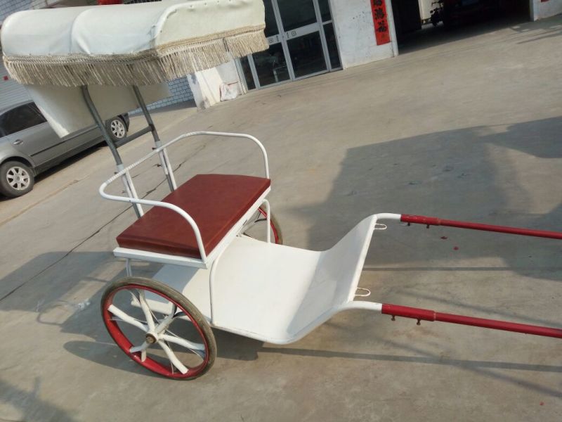 蒙古马400~500kg