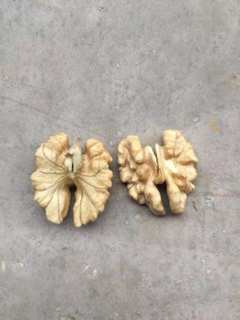 纸皮核桃