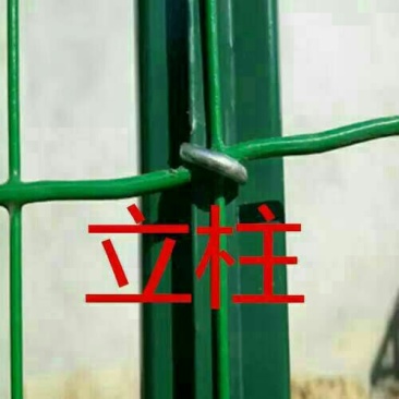荷兰网