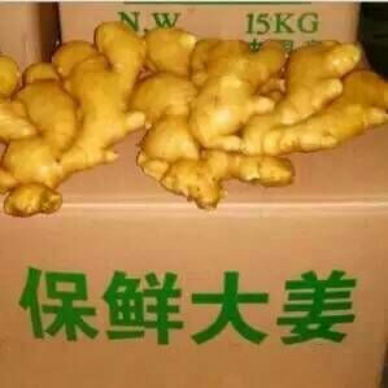 生姜大黄姜小黄姜，面姜，基地货源充足产地直销价格