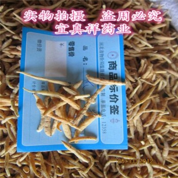 太子参