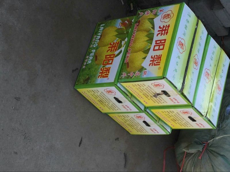 莱阳梨250~300g纸箱