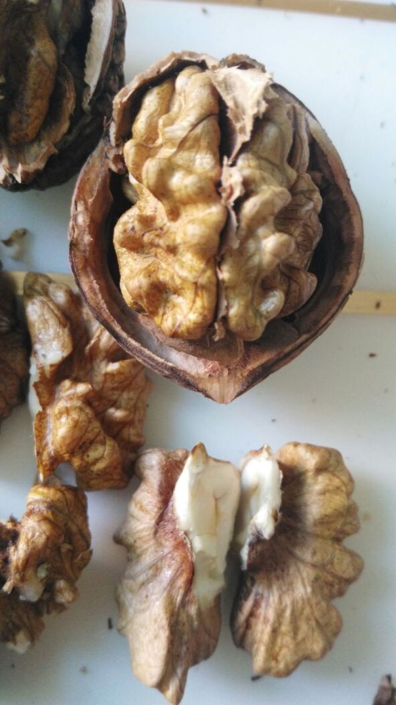薄皮核桃去皮干