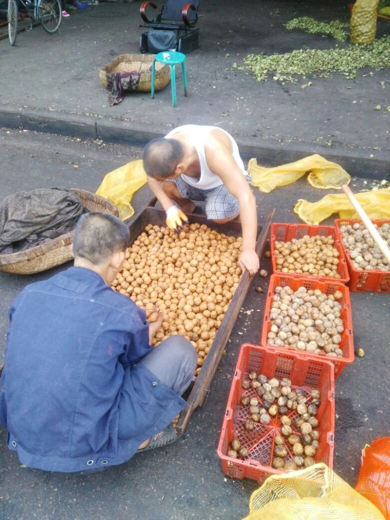 香玲核桃30mm以上去皮