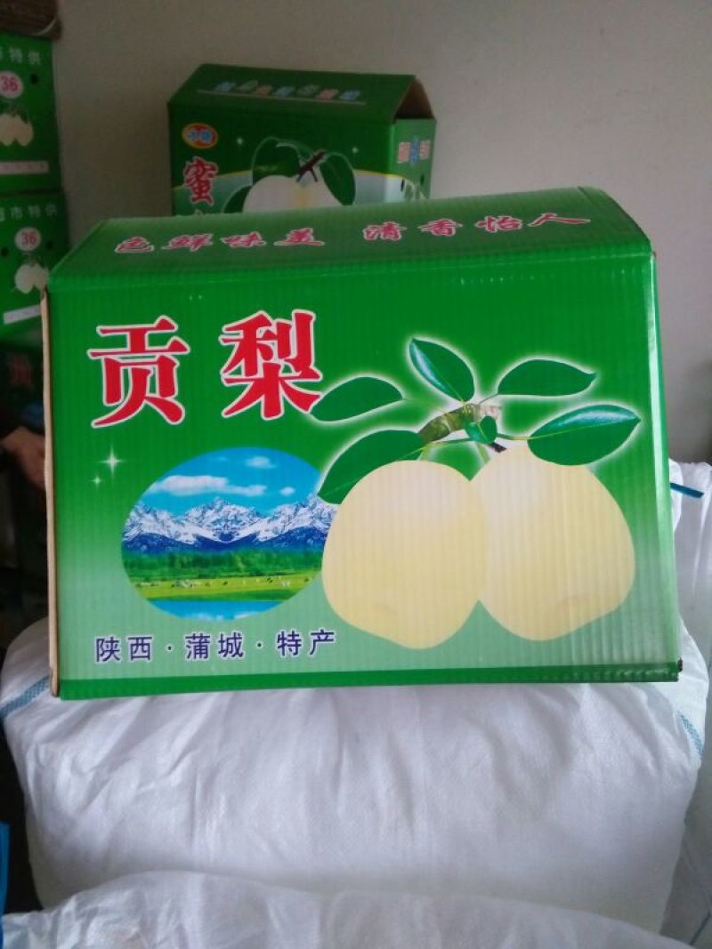 酥梨350~400g纸袋