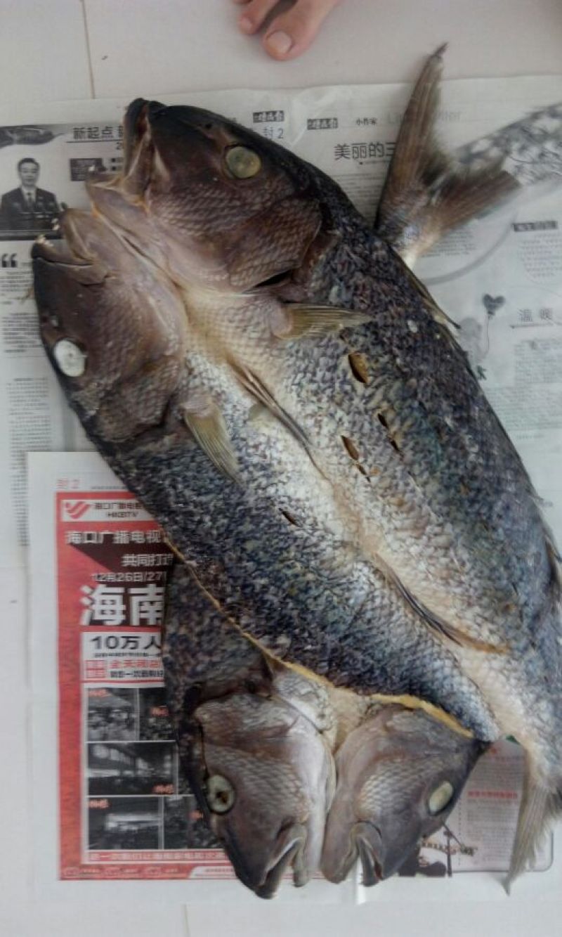 鱼干