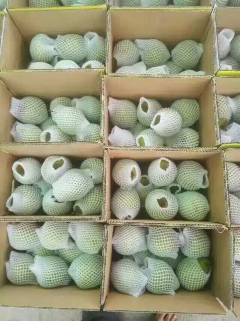 莱阳梨纸箱350~400g