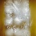 雪花梨200~250g纸箱