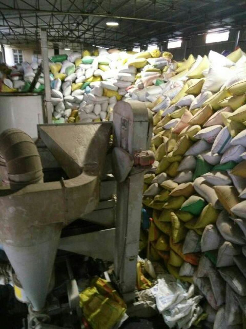 湖北精选定包优质油菜籽优质食用油原料高含油