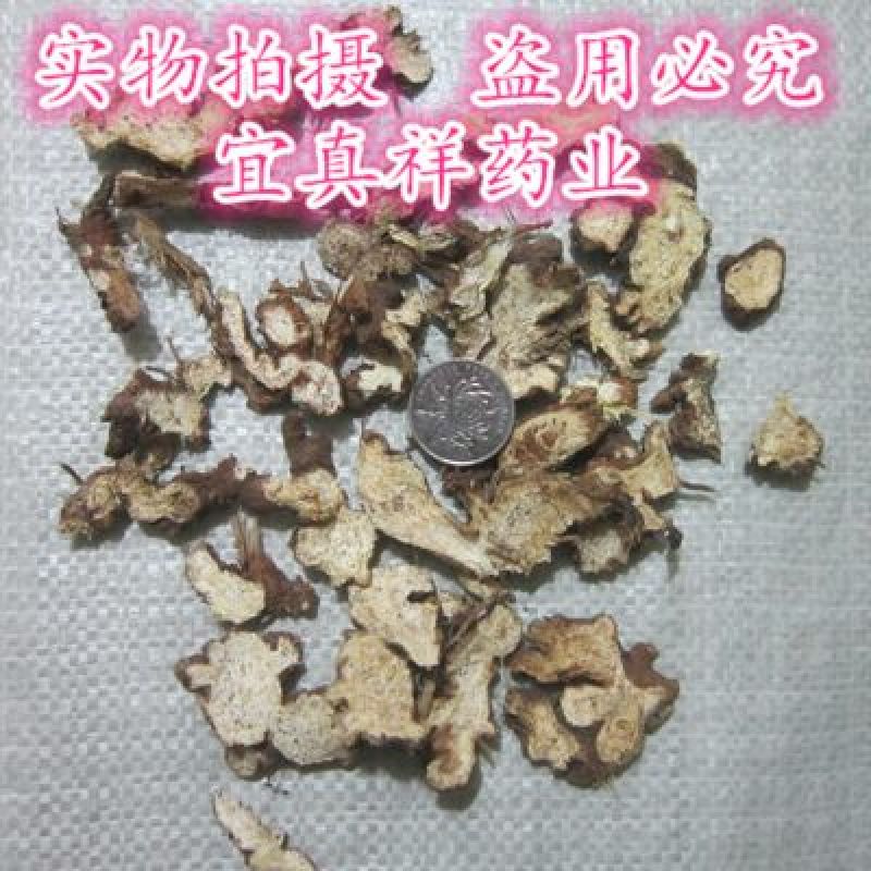 苍术